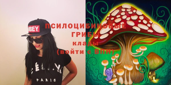 круглые Алзамай