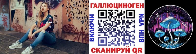 Галлюциногенные грибы Psilocybe  Тейково 