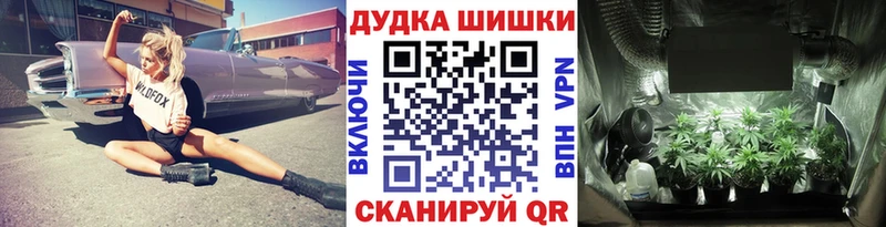 Марихуана сатива  купить  сайты  hydra ссылки  Тейково 